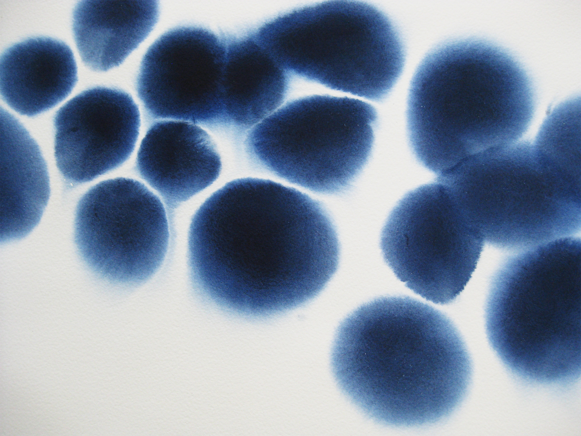 Indigo